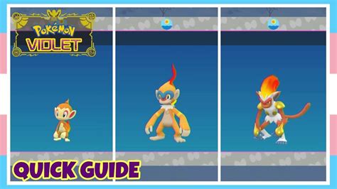 what level do you get infernape.